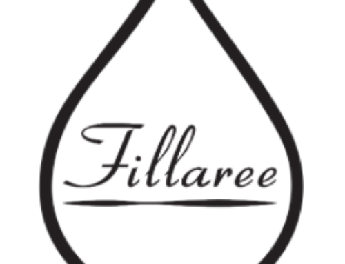 Local Spotlight: Fillaree