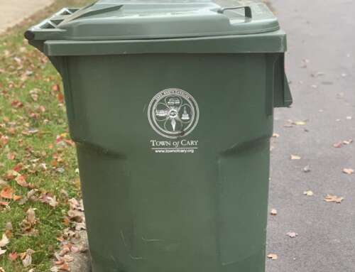 My Green Bin Challenge: Taking Out The Trash!