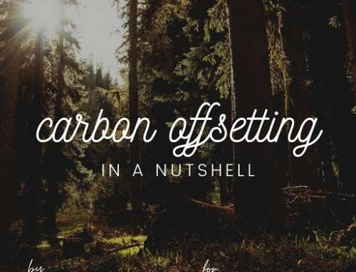 Carbon Offsetting: In a Nutshell