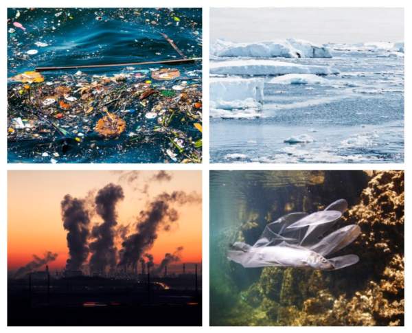 4 pictures making a square. Top left square is an ocean filled with trash . Top right square is melting ice. Bottom left picture is a fossil fuel plant with pollution being released into the air. Bottom right square is in the ocean with a fish in a clear glove swimming.