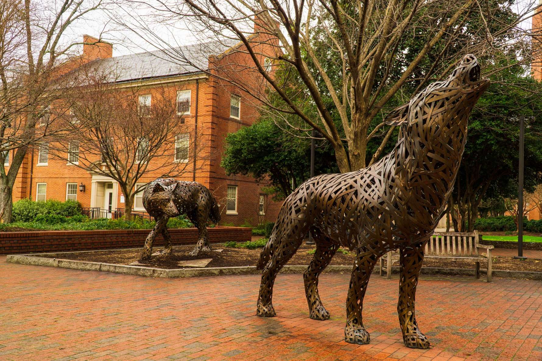 Photo of statues of wolves at North Carolina State University