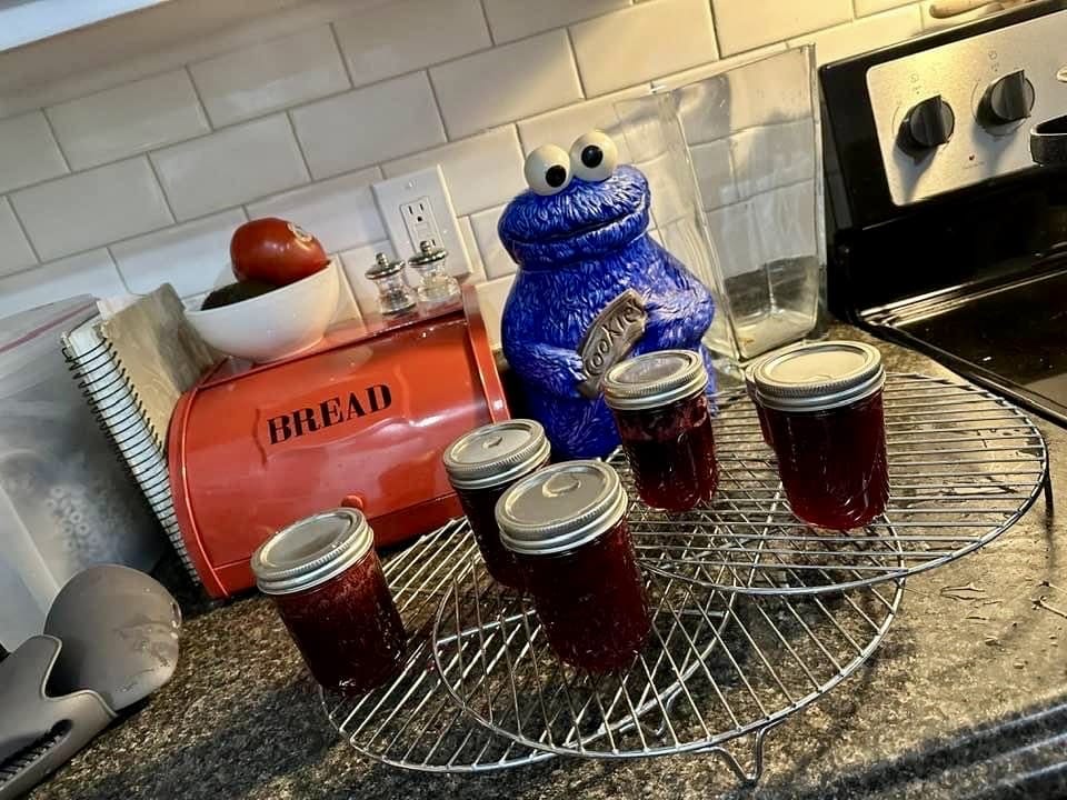 Picture of jam in glass canning jars on a kitchen counter