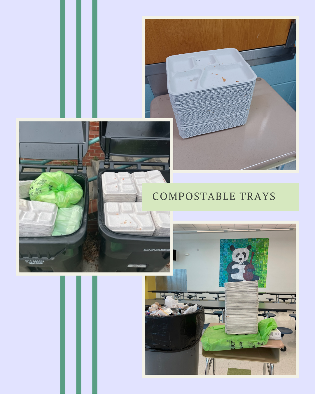 Compostable Trays